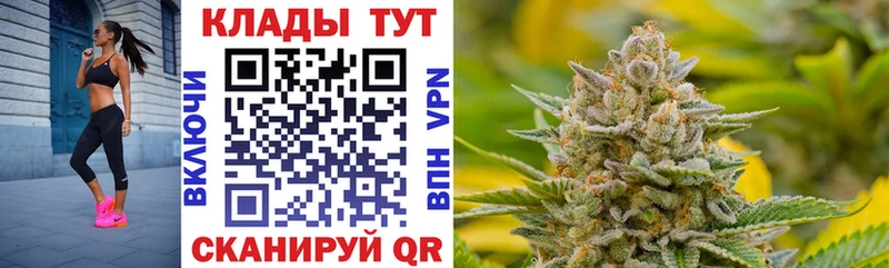 Где купить Лыткарино Гашиш Каннабис COCAIN гидра ссылка Амфетамин Меф мяу мяу Альфа ПВП