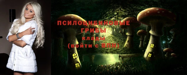 мдпв Куйбышев
