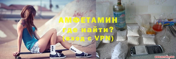 сатива Кукмор