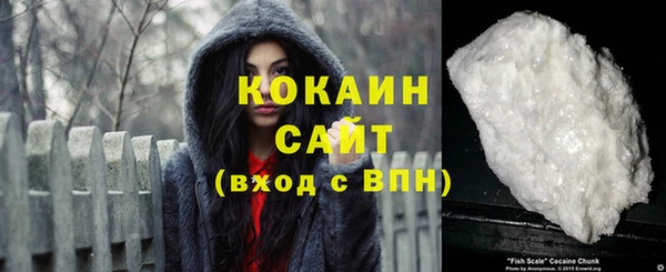 сатива Кукмор