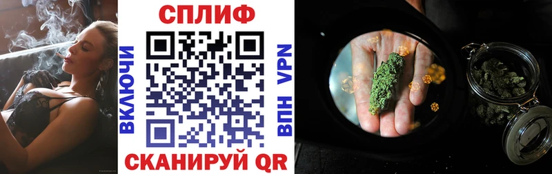 Каннабис конопля  даркнет Telegram  Лыткарино  продажа наркотиков 